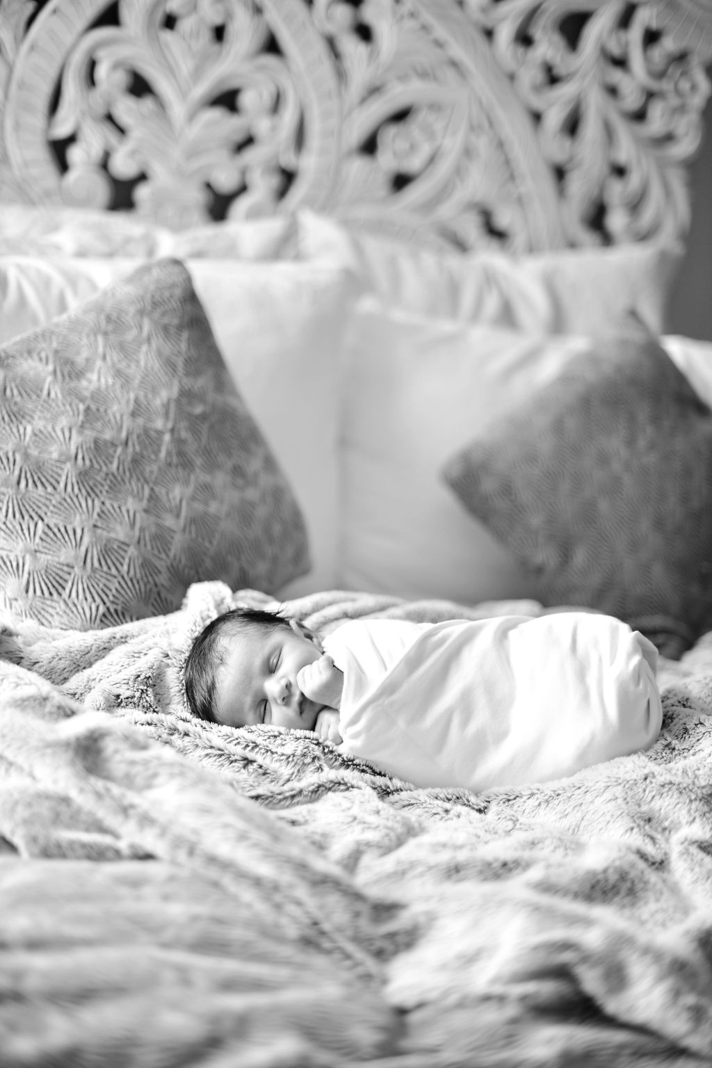 Caroline Tallagrand - Photographe MONTFORT SUR ARGENS - TRETS - VAR - PACA - PORTRAIT - CORPORATE - EVENEMENT - ENFANT
