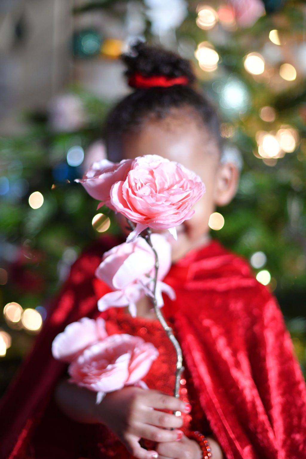 Caroline Tallagrand - Photographe MONTFORT SUR ARGENS - TRETS - VAR - PACA - PORTRAIT - CORPORATE - EVENEMENT - ENFANT
