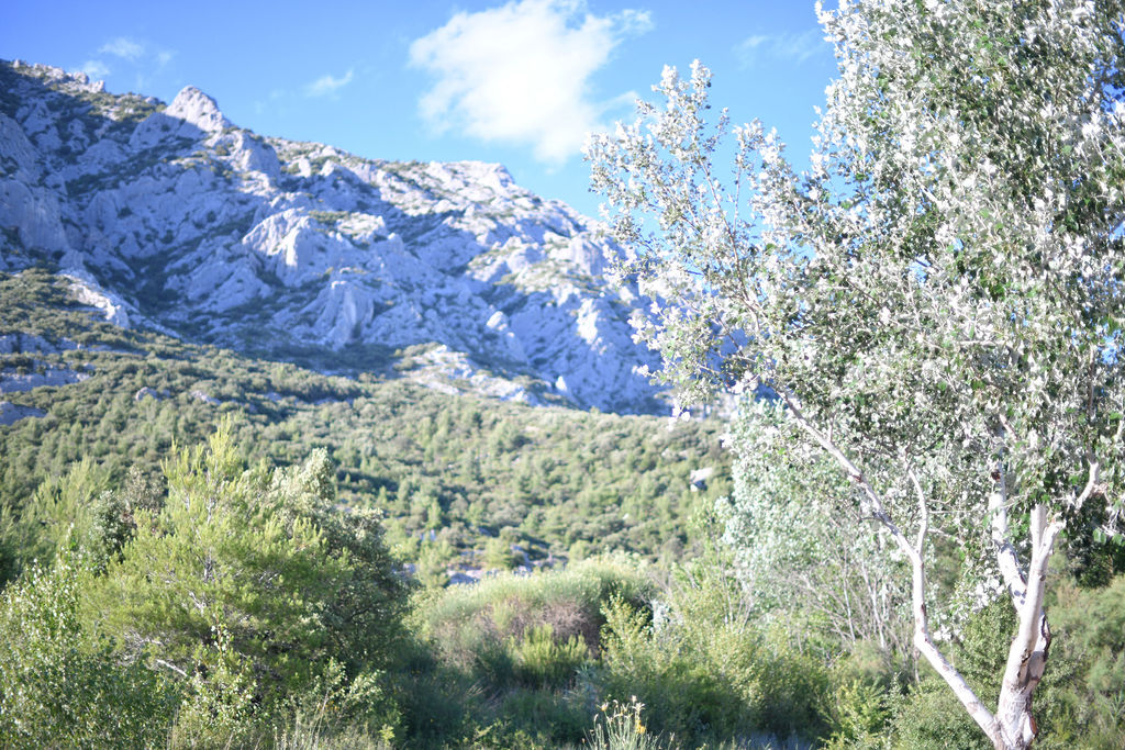 Caroline Tallagrand - Photographe MONTFORT SUR ARGENS - TRETS - VAR - PACA - PORTRAIT - CORPORATE - EVENEMENT - ENFANT