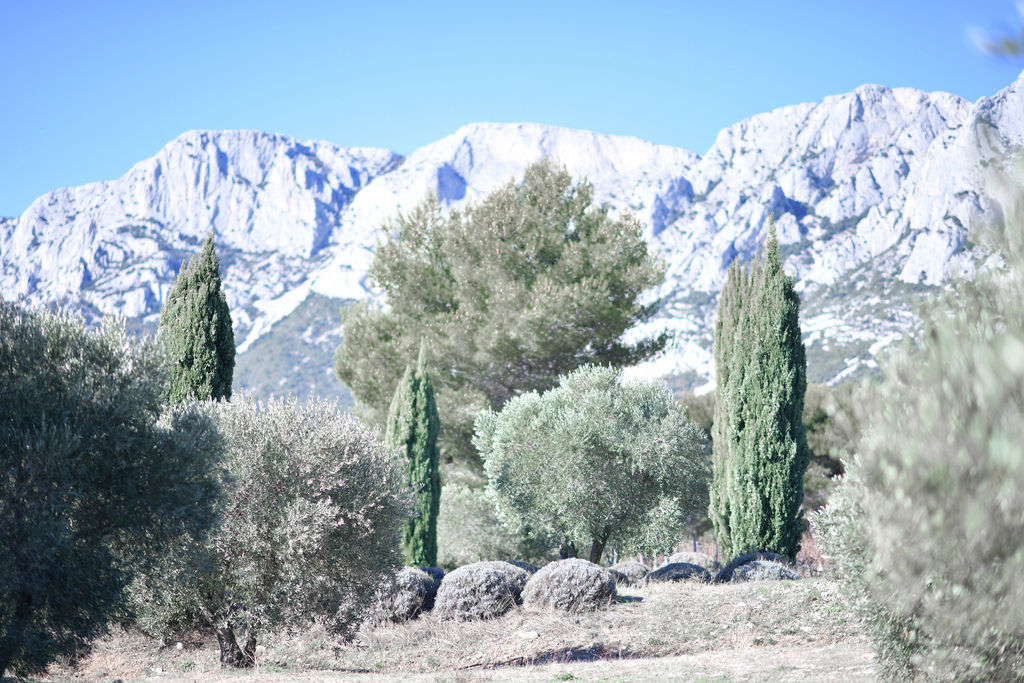 Caroline Tallagrand - Photographe MONTFORT SUR ARGENS - TRETS - VAR - PACA - PORTRAIT - CORPORATE - EVENEMENT - ENFANT