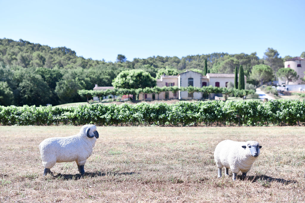 Caroline Tallagrand - Photographe MONTFORT SUR ARGENS - TRETS - VAR - PACA - PORTRAIT - CORPORATE - EVENEMENT - ENFANT